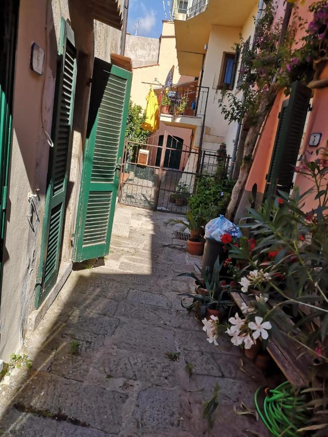 Moonlight Apartament San Piero in Campo  Exterior photo